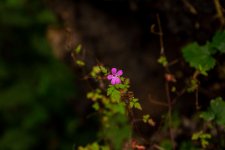 IMG_5954.jpg