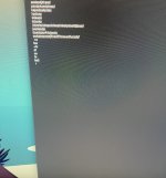 IMG_3998-min.jpeg