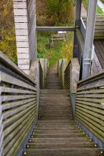 IMG_6258.jpg