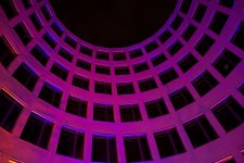IMG_6549.jpg