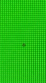 WhatsApp Image 2021-12-05 at 16.27.31.jpeg