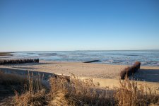IMG_8181.jpg