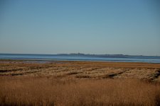IMG_8184.jpg