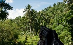 crysis.jpeg
