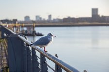 IMG_8243.jpg