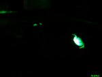 20111120_003903.jpg