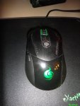 DSC03309.JPG