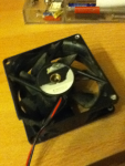 image-3023369773.png