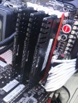 DSCF7801.jpg