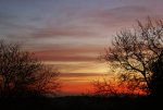 DSC02985.jpg