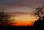 DSC02986.jpg