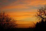 DSC02987.jpg