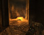 metro2033 2011-11-20 19-02-20-93.jpg