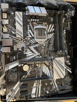 IMG_0605.JPEG