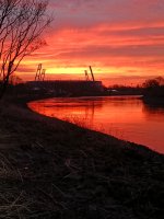 IMG_20220214_072729.jpg