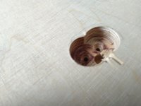 IMG_20220220_101758.jpg
