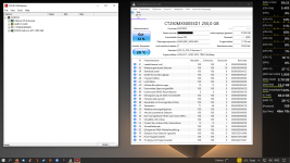 gut12%.PNG
