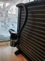 IMG_20220304_150623.jpg