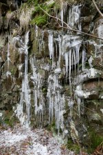 P1050858(1).jpg