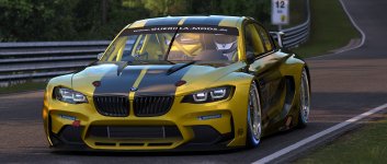 Screenshot_gue_bmw_m2_gt2_ks_nordschleife_24-2-122-20-13-42.jpg
