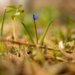 IMG_2240.jpg