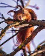DSC_0863-insta.JPG