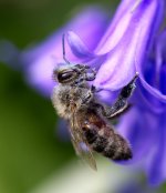 2T2A7392 aff crop klein.jpg