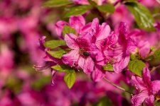 IMG_8629.jpg