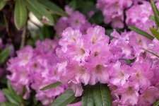 IMG_8641.jpg
