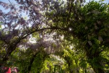 IMG_8643.jpg