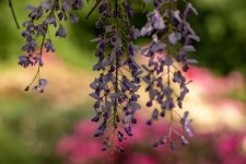 IMG_8644.jpg