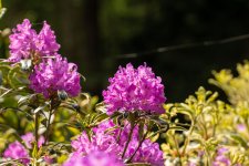 IMG_8671.jpg