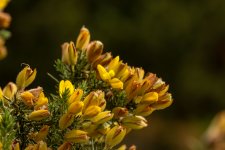 IMG_8721.jpg