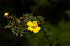 IMG_8725.jpg