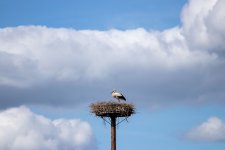IMG_8787.jpg