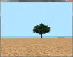 Tree.jpg