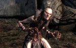 Skyrim-LVL-40+03.jpg