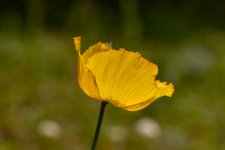 IMG_8741.jpg