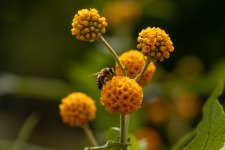 IMG_8756.jpg