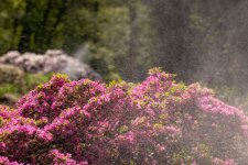 IMG_8769.jpg