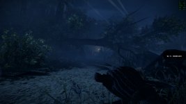 BF_BC2@1836p chill57fps.jpg
