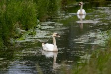 IMG_8821.jpg