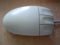 DSC00018.JPG