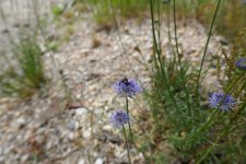 P1070959(1).jpg