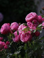 2022-06-16 01-10-52 (B,R8,S4)B affskal.jpg