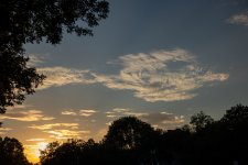 IMG_9253.jpg