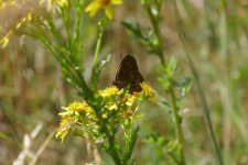 P1080299(1).jpg