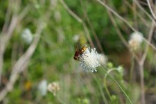 P1080734(1).jpg
