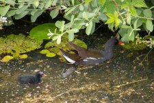 IMG_9605.jpg