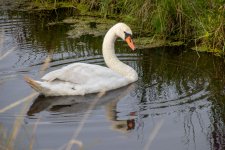 IMG_9603.jpg